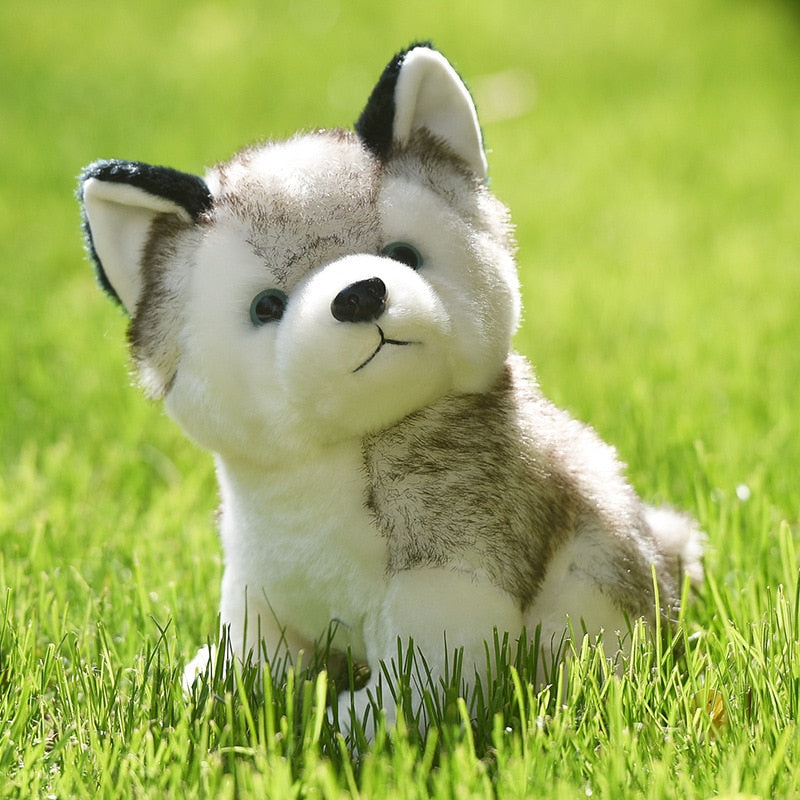 Realistic Husky Stuffed Animal